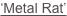 shapeimage_2_link_1